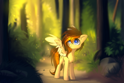 Size: 3000x2000 | Tagged: safe, artist:starlyflygallery, oc, oc only, oc:aerion featherquill, pegasus, pony, chest fluff, detailed background, female, forest, mare, solo, spread wings, two toned wings, wings