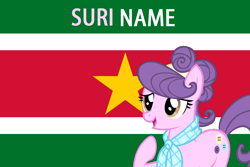 Size: 1596x1064 | Tagged: safe, suri polomare, flag, pun, solo, suriname