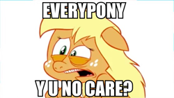 Size: 558x315 | Tagged: safe, pony, .mov, image macro, impact font, jappleack, meme, pony.mov, swag.mov, text, y u no