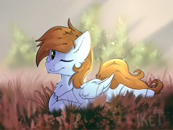 Size: 1600x1200 | Tagged: artist needed, safe, oc, oc only, oc:sorren, pegasus, pony, field, green eyes, jewelry, lying down, necklace, solo, sunlight, wings
