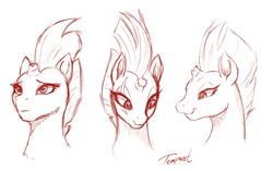 Size: 3542x2227 | Tagged: safe, artist:sakuracheetah, tempest shadow, pony, unicorn, my little pony: the movie, broken horn, bust, cute, eye scar, female, mare, monochrome, scar, sketch, smiling, solo, tempestbetes