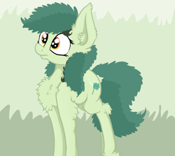 Size: 1371x1225 | Tagged: safe, artist:paskanaakka, derpibooru exclusive, oc, oc only, oc:bittergreen, earth pony, pony, abstract background, chest fluff, ear fluff, female, fluffy, mare, nose wrinkle, solo, unshorn fetlocks