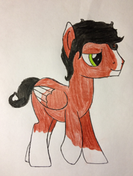 Size: 2448x3264 | Tagged: safe, artist:primevalbrony, artist:primevalfan666, oc, oc only, oc:caliente azucar-miel, pegasus, pony, folded wings, male, socks (coat marking), solo, stallion, traditional art