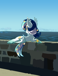 Size: 1292x1684 | Tagged: safe, artist:owlity, oc, oc only, oc:wistful galaxy, bat pony, pony, ocean, solo, wall