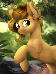 Size: 3001x4000 | Tagged: safe, artist:blackligerth, oc, oc only, oc:kwankao, earth pony, pony, smiling, solo