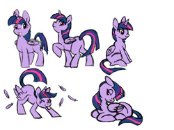 Size: 1024x768 | Tagged: safe, artist:sinjaaussiaangels, twilight sparkle, twilight sparkle (alicorn), alicorn, pony, cute, feather, missing cutie mark, plot, prone, raised hoof, simple background, sitting, solo, tongue out