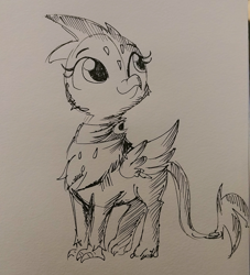 Size: 1440x1584 | Tagged: safe, artist:tjpones, greta, griffon, black and white, clothes, cute, grayscale, gretadorable, inktober, monochrome, scarf, sketch, solo, traditional art