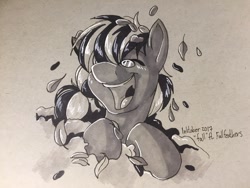 Size: 1280x960 | Tagged: safe, artist:sugaryviolet, oc, oc only, oc:fallfeatherspony, pony, inktober, solo, traditional art