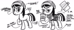 Size: 5296x2160 | Tagged: safe, artist:hotdog, oc, oc only, earth pony, pony, solo