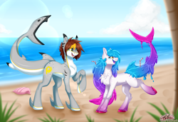 Size: 3500x2400 | Tagged: safe, artist:pinktabico, oc, oc only, goo pony, original species, pony, shark pony, beach, fangs, female, looking back, male, mare, smiling, stallion, water