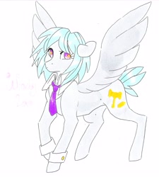 Size: 4096x4546 | Tagged: safe, artist:frozensoulpony, oc, oc only, oc:windy loo, pegasus, pony, absurd resolution, female, mare, necktie, parent:derpy hooves, parent:zephyr breeze, parents:derpybreeze, solo, traditional art