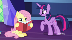 Size: 1920x1080 | Tagged: safe, screencap, fluttershy, twilight sparkle, twilight sparkle (alicorn), alicorn, pegasus, pony, a health of information, book, discovery family logo, duo, reading