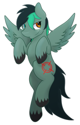 Size: 549x864 | Tagged: safe, artist:wulfanite, oc, oc only, oc:target strike, pegasus, pony, commission, heterochromia, simple background, transparent background, unshorn fetlocks, wings