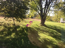 Size: 4032x3024 | Tagged: safe, scootaloo, augmented reality, gameloft, irl, nature, photo, ponies in real life, solo