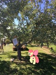 Size: 3024x4032 | Tagged: safe, apple bloom, earth pony, human, pony, apple, apple tree, augmented reality, female, filly, foal, food, gameloft, irl, photo, ponies in real life, solo, tree