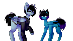 Size: 2560x1440 | Tagged: safe, artist:despotshy, oc, oc only, oc:despot, oc:despy, pegasus, pony, clothes, female, heterochromia, male, mare, rule 63, simple background, stallion, transparent background