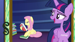 Size: 1920x1080 | Tagged: safe, screencap, fluttershy, twilight sparkle, twilight sparkle (alicorn), alicorn, pegasus, pony, a health of information, book, discovery family logo, duo, hoof hold, reading, squint