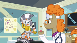 Size: 1920x1080 | Tagged: safe, screencap, doctor muffin top, zecora, earth pony, pony, zebra, a health of information, clothes, discovery family logo, frown, stethoscope, swamp fever, test tube, worried, x-ray, x-ray picture