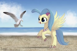 Size: 1500x1000 | Tagged: safe, artist:songbirdserenade, princess skystar, bird, classical hippogriff, hippogriff, seagull, my little pony: the movie, beach, colored pupils, cute, female, flower, flower in hair, happy, jewelry, looking at something, necklace, ocean, rearing, skyabetes, smiling, solo, spread wings, unshorn fetlocks, water, wings