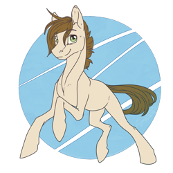 Size: 1000x1000 | Tagged: safe, artist:sunny way, oc, oc only, earth pony, pony, colored, colored lineart, male, rcf community, request, running, smiling, solo, stallion