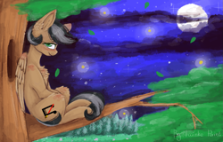 Size: 1561x1000 | Tagged: safe, artist:twinkepaint, oc, oc only, oc:artsong, pegasus, pony, chest fluff, female, mare, moon, night, sitting, sitting in a tree, solo, tree, tree branch