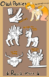 Size: 3000x4725 | Tagged: safe, artist:oddends, original species, owl, open, open species, owl ponies, owl pony