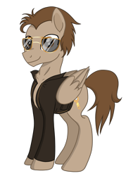 Size: 3445x4823 | Tagged: safe, artist:darkest-lunar-flower, oc, oc only, oc:toffee scotch, pegasus, pony, 2018 community collab, clothes, derpibooru community collaboration, jacket, leather jacket, looking at you, simple background, solo, sunglasses, transparent background