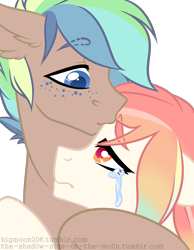 Size: 1400x1800 | Tagged: safe, artist:bigmoon206, oc, oc only, pony, crying, hug, kissing, sad