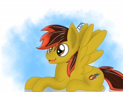 Size: 3048x2280 | Tagged: safe, artist:deejayarts, oc, oc only, pegasus, pony, lying down, male, simple background, solo