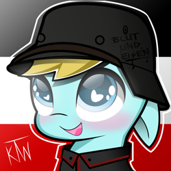 Size: 1500x1500 | Tagged: safe, artist:katiethewolfie, oc, oc only, oc:bluteisen, pony, blue eyes, chibi, cute, cutie, flag, floppy ears, german, german empire, gray coat, heart eyes, soldat, solo, stahlhelm, vulpineprincess, wingding eyes, world war i