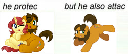 Size: 600x253 | Tagged: safe, artist:aleximusprime, oc, oc only, oc:alex the chubby pony, oc:eilemonty, earth pony, pony, unicorn, cuddling, cute, diabetes, eilemonty, female, he protec but he also attac, hug, kicking, male, mare, mare and stallion, meme, needs more jpeg, one eye closed, plump, stallion, vector, wink
