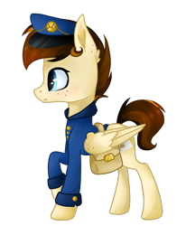 Size: 736x894 | Tagged: safe, artist:wintersnowy, oc, oc only, pegasus, pony, clothes, mailpony, saddle bag, simple background, solo, transparent background, uniform