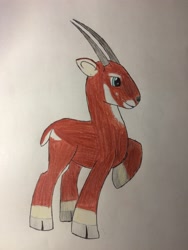 Size: 2448x3264 | Tagged: safe, artist:primevalbrony, artist:primevalfan666, oc, oc only, oc:tuft, saola, solo, traditional art