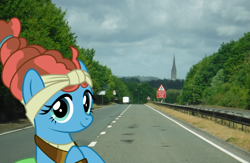 Size: 2629x1719 | Tagged: safe, artist:jhayarr23, artist:oceanrailroader, meadowbrook, pony, england, irl, photo, ponies in real life, salisbury, solo