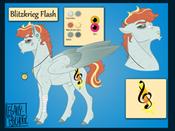 Size: 2000x1500 | Tagged: safe, artist:legally-psychotic, oc, oc only, oc:blitzkrieg flash, pegasus, pony, magical lesbian spawn, male, offspring, parent:oc:stained glass, parent:rainbow dash, parents:canon x oc, reference sheet, solo, stallion