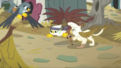 Size: 1920x1080 | Tagged: safe, screencap, gabby, griffon, the fault in our cutie marks, griffonstone