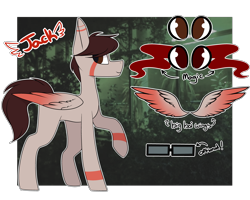 Size: 5000x4000 | Tagged: safe, artist:umiimou, oc, oc only, oc:jack, pegasus, pony, absurd resolution, male, reference sheet, solo, stallion