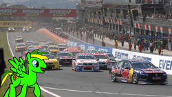 Size: 1200x678 | Tagged: safe, artist:didgereethebrony, oc, oc only, oc:didgeree, pony, bathurst, bathurst 1000, car, digital art, ford, ford falcon, holden, holden commodore, nissan, nissan altima, solo, supercar