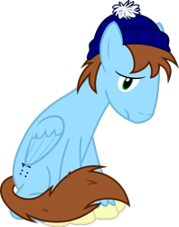 Size: 1269x1600 | Tagged: safe, artist:jp, derpibooru exclusive, oc, oc only, pegasus, pony, .svg available, 2018 community collab, beanie, derpibooru community collaboration, hat, sad, simple background, solo, svg, transparent background, vector