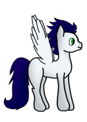 Size: 3871x5428 | Tagged: safe, artist:delphina34, soarin', pony, missing cutie mark, simple background, solo, transparent background