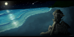 Size: 1024x512 | Tagged: safe, artist:ognevitsa, oc, oc only, pegasus, pony, beach, female, mare, moon, night, sitting, solo