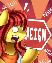 Size: 1446x1764 | Tagged: safe, artist:pridark, oc, oc only, earth pony, pony, clothes, commission, female, frown, glare, hexagon, mare, neigh, open mouth, shirt, sign, solo, sunburst background, text, unstable unicorns, wide eyes