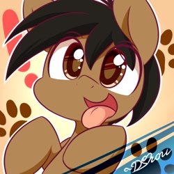 Size: 500x500 | Tagged: safe, artist:dshou, oc, oc only, oc:cocoa mocha, oc:puppy, behaving like a dog, solo, tongue out