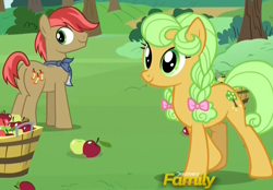 Size: 920x642 | Tagged: safe, screencap, apples snack, goldie delicious, earth pony, pony, the perfect pear, apple, apple family member, background pony, bandana, basket, bow, braid, bushel basket, cropped, female, food, hair bow, male, mare, stallion, younger