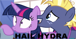 Size: 1114x574 | Tagged: safe, star tracker, twilight sparkle, twilight sparkle (alicorn), alicorn, once upon a zeppelin, hail hydra, meme