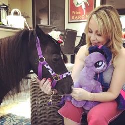 Size: 960x960 | Tagged: artist needed, safe, twilight sparkle, horse, human, horse-pony interaction, irl, irl horse, irl human, miniature horse, pearl (horse), photo, plushie, real, real pony, tara strong, toy, voice actor