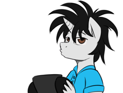 Size: 1600x1200 | Tagged: safe, artist:jcosneverexisted, oc, oc only, oc:creative flair, pony, duckface, looking at you, male, solo, unshorn fetlocks