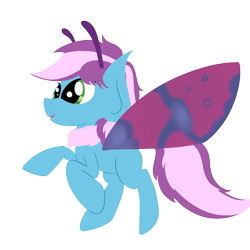 Size: 4000x4000 | Tagged: safe, artist:finnanon, oc, oc only, oc:gyro tech, mothpony, original species, species swap