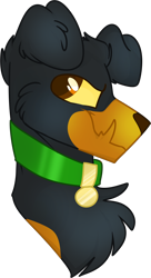 Size: 728x1343 | Tagged: safe, artist:scoobert-doobert, oc, oc only, oc:brick stonerock, diamond dog, bust, collar, male, smiling, smirk, solo