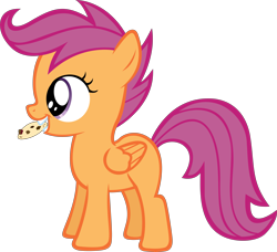 Size: 8133x7431 | Tagged: safe, artist:deadparrot22, scootaloo, absurd resolution, cookie, cute, cutealoo, food, mouth hold, simple background, solo, transparent background, vector